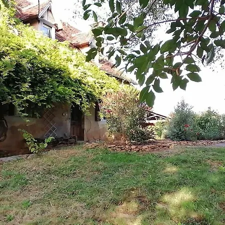 La Quercynoise Reyrevignes (Figeac)